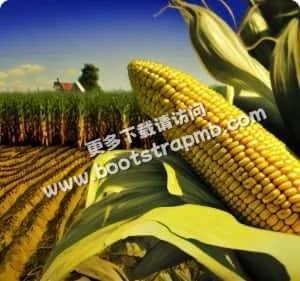 精准数据，助力决策 - 球探